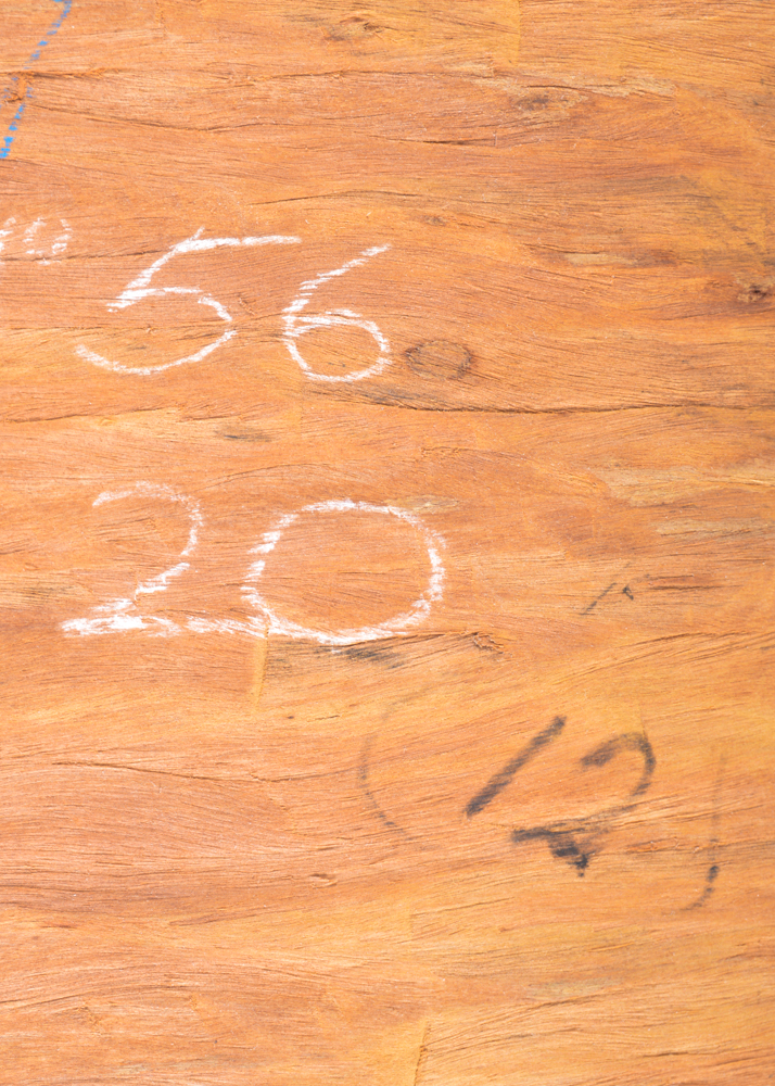 Aboriginal Bark Painting