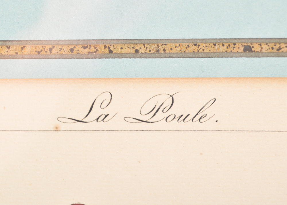 Antique Colored Copperplate Engraving "Le Bon Genre No. 43"