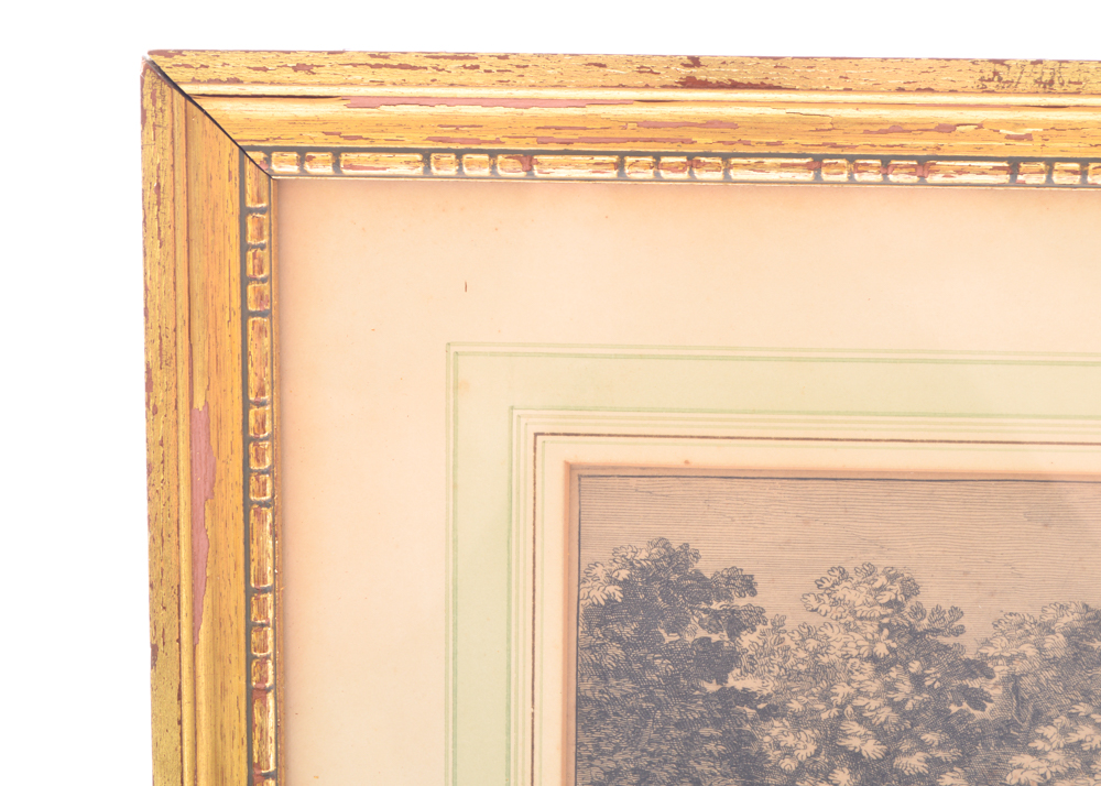 "Fontaine de Flore" Framed Lithograph Dated 1680