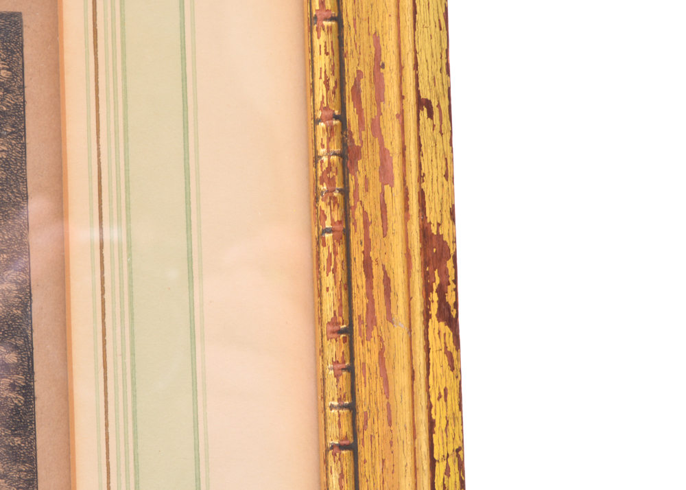 Hand-Tinted Steel Plate Etching of Fountain by Jacques Rigaud