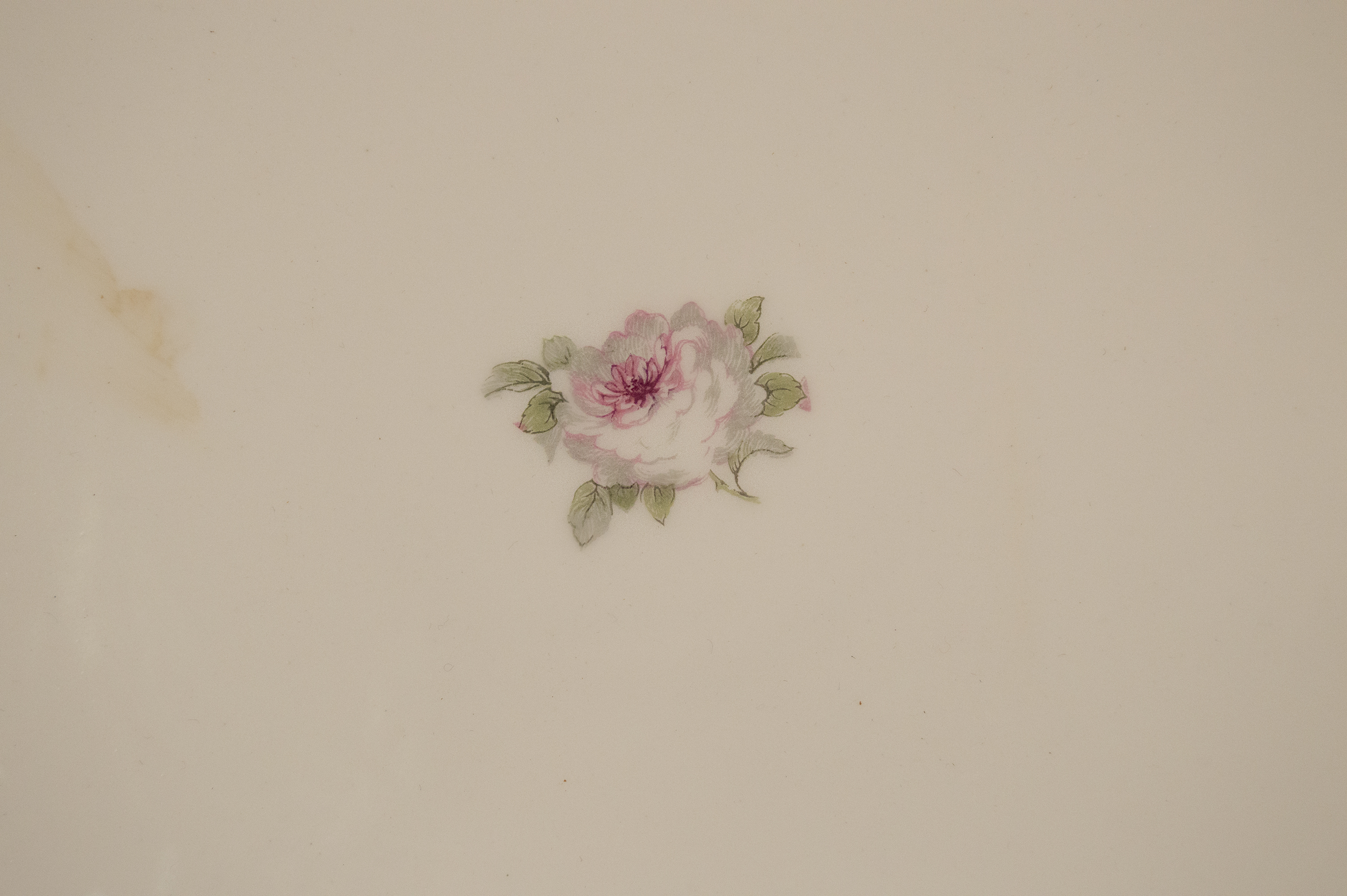 Haviland Limoges Serving Tray