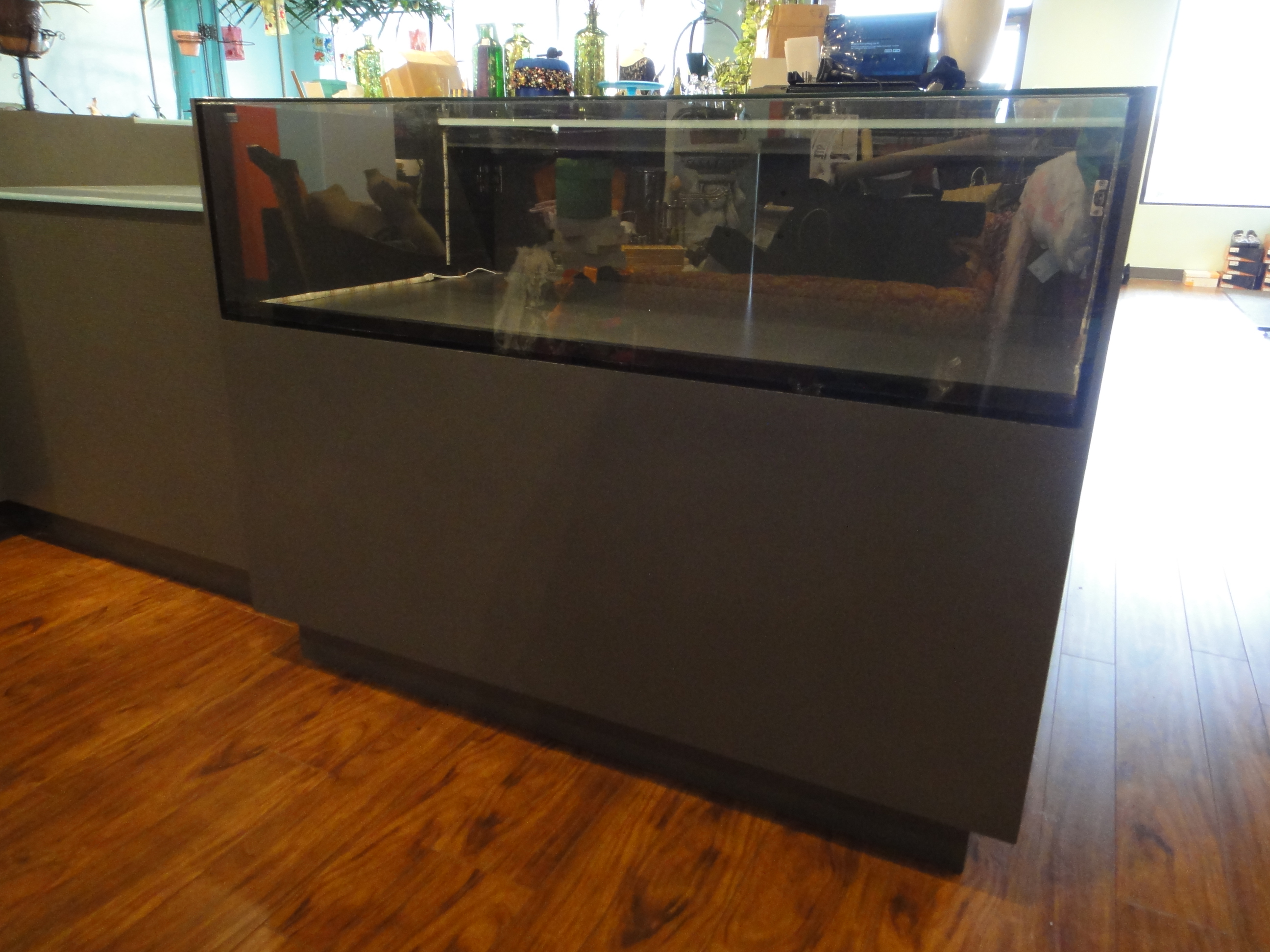 Custom Lighted Showcase by Thomas Cabinets