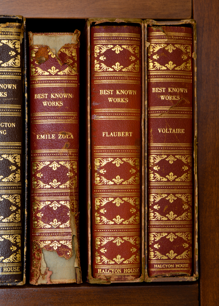 Halcyon House Best Known Works Series