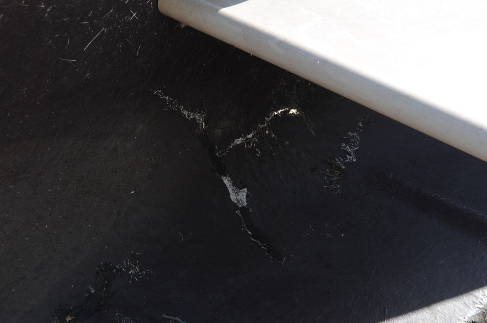 Sears and Roebuck Canoe