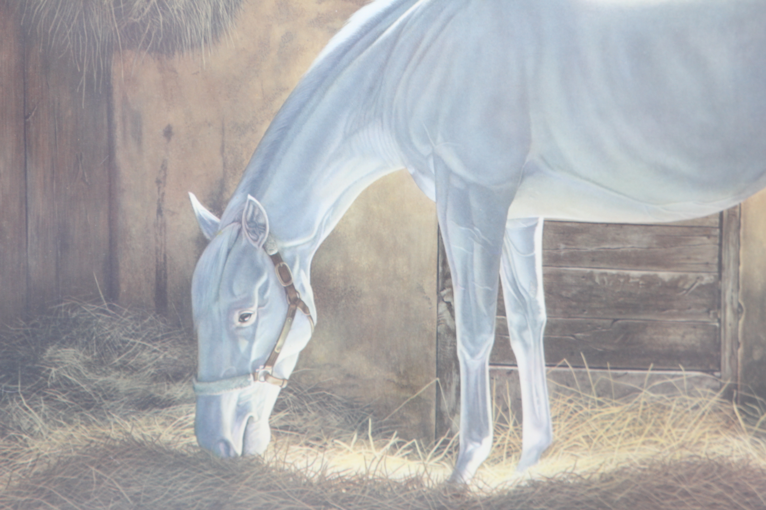 Joseph Petro Framed Artist Proof Titled " White Beauty"