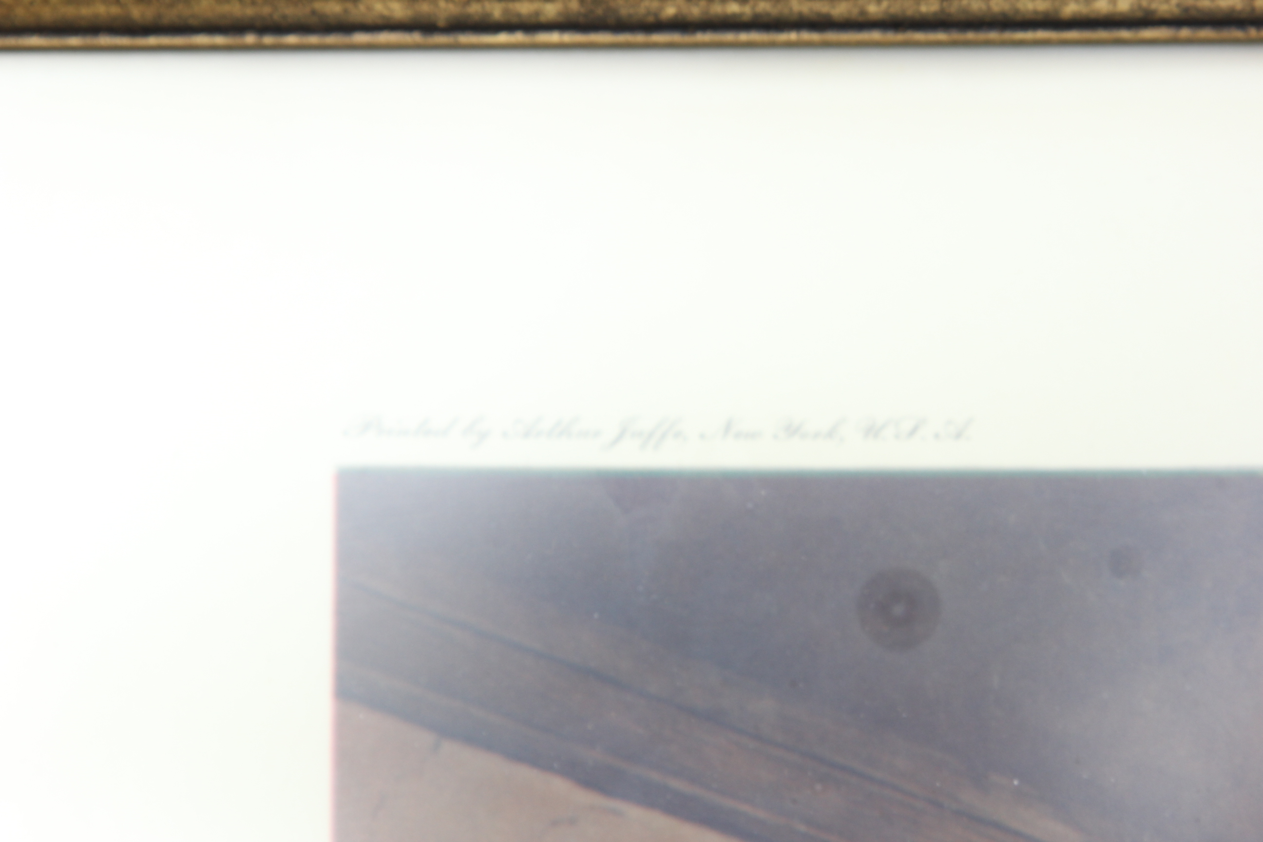 Joseph Petro Framed Artist Proof Titled " White Beauty"