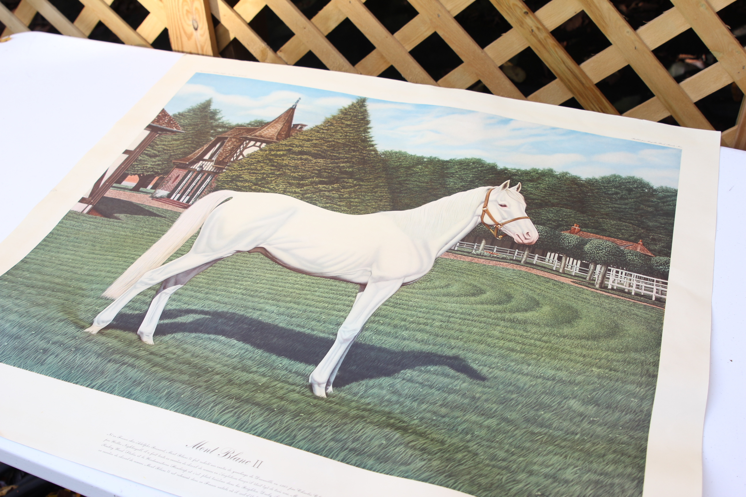 Joseph Petro Equine Offset Lithographs