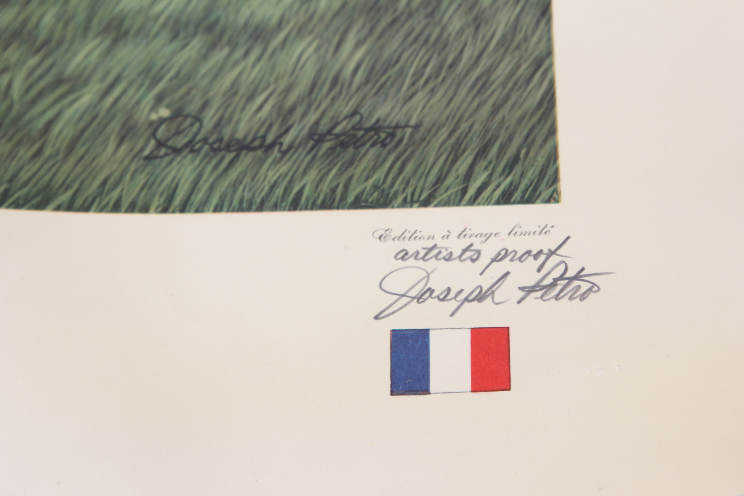 Joseph Petro Equine Offset Lithographs