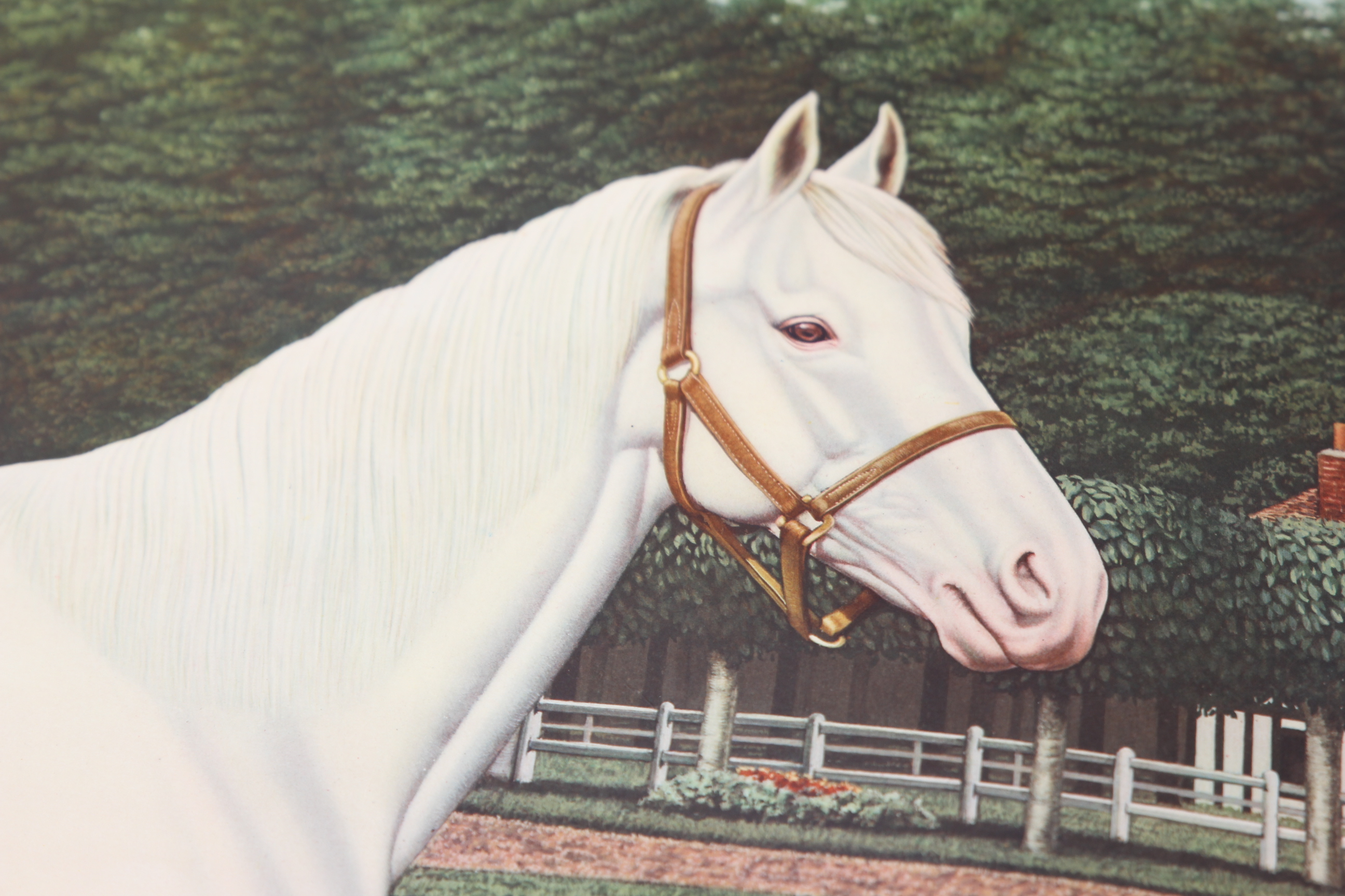 Joseph Petro Equine Offset Lithographs