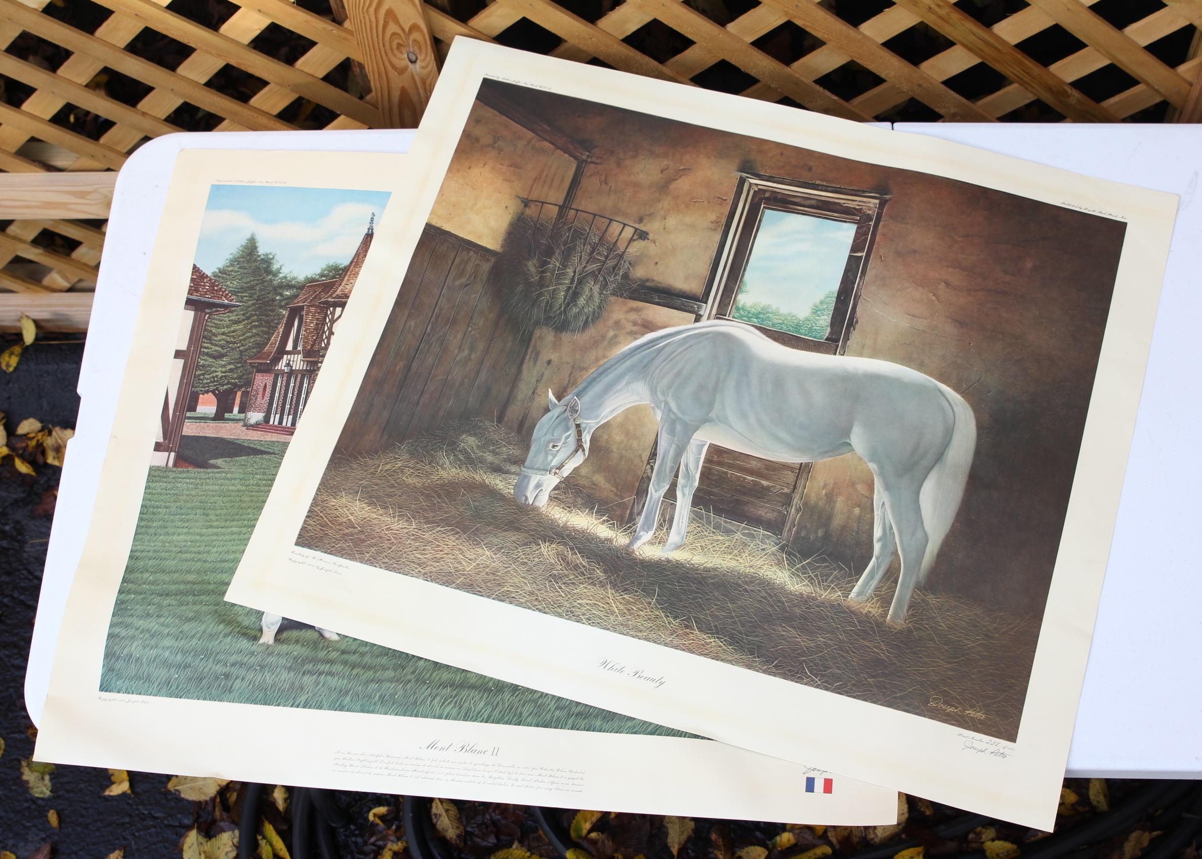 Joseph Petro Equine Offset Lithographs