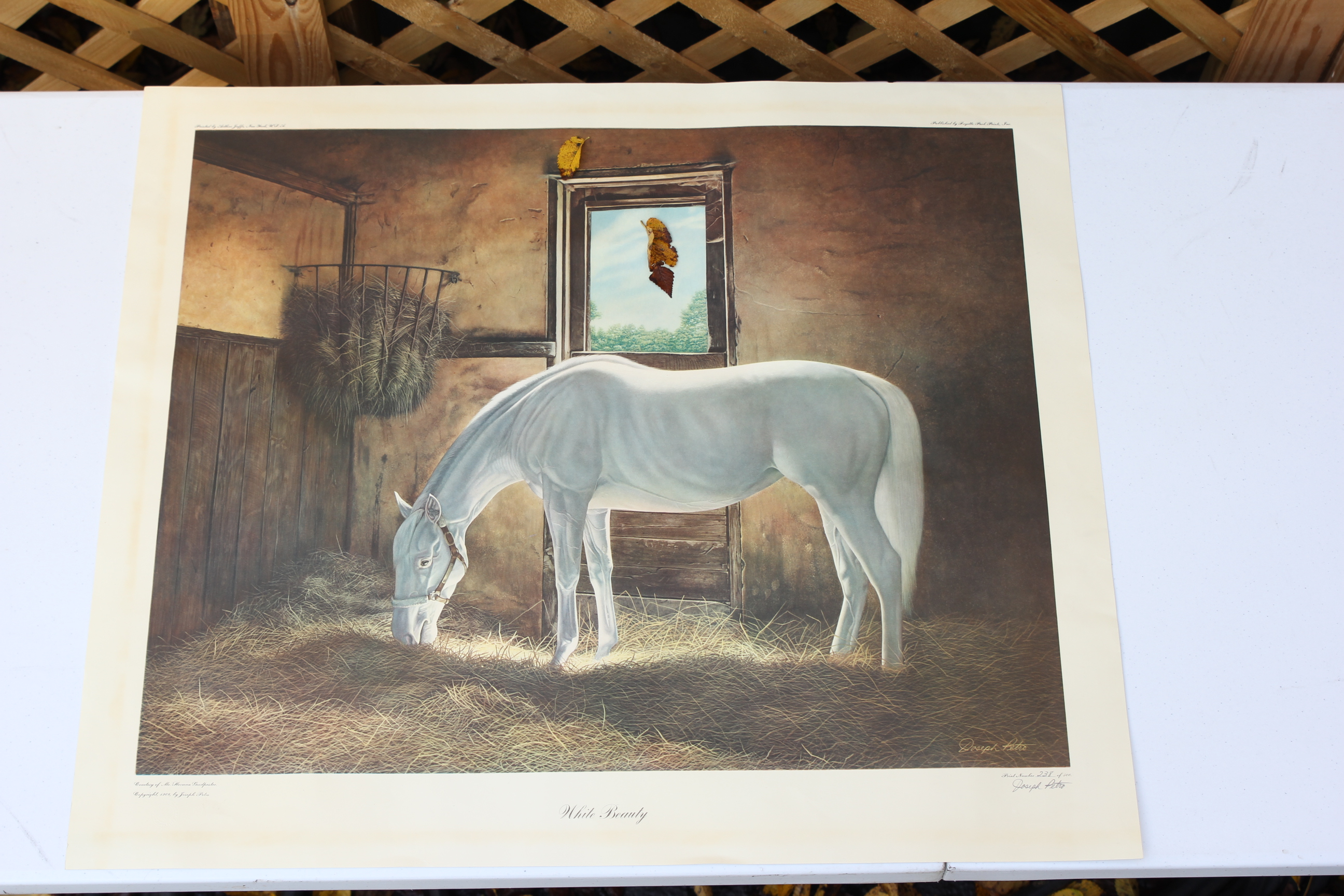 Joseph Petro Equine Offset Lithographs