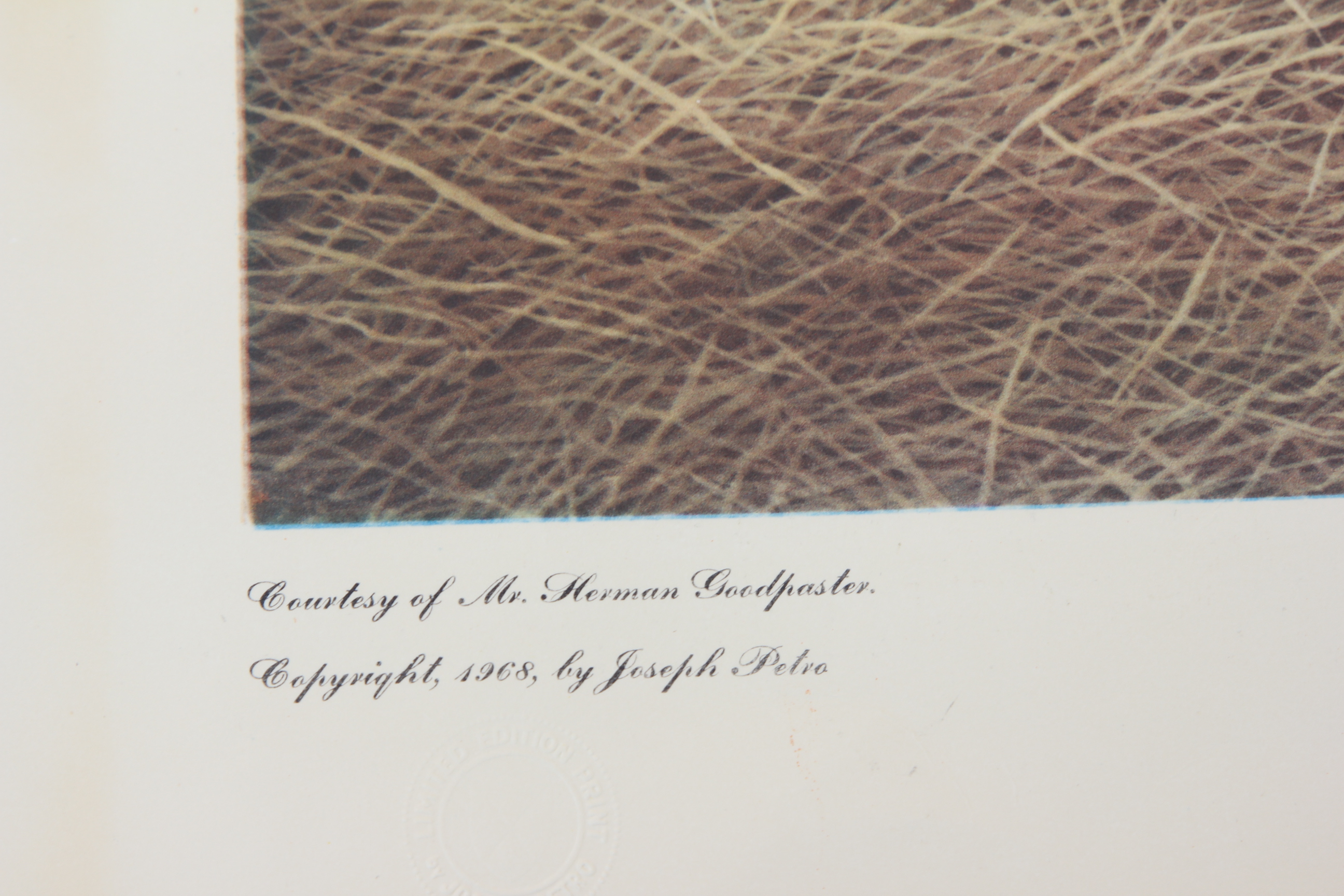 Joseph Petro Equine Offset Lithographs