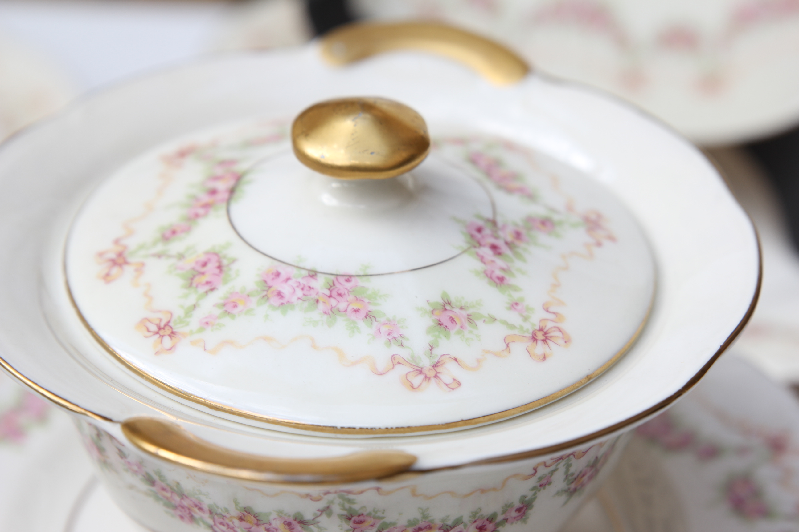 Theodore Haviland China Collection, Hamilton Pattern