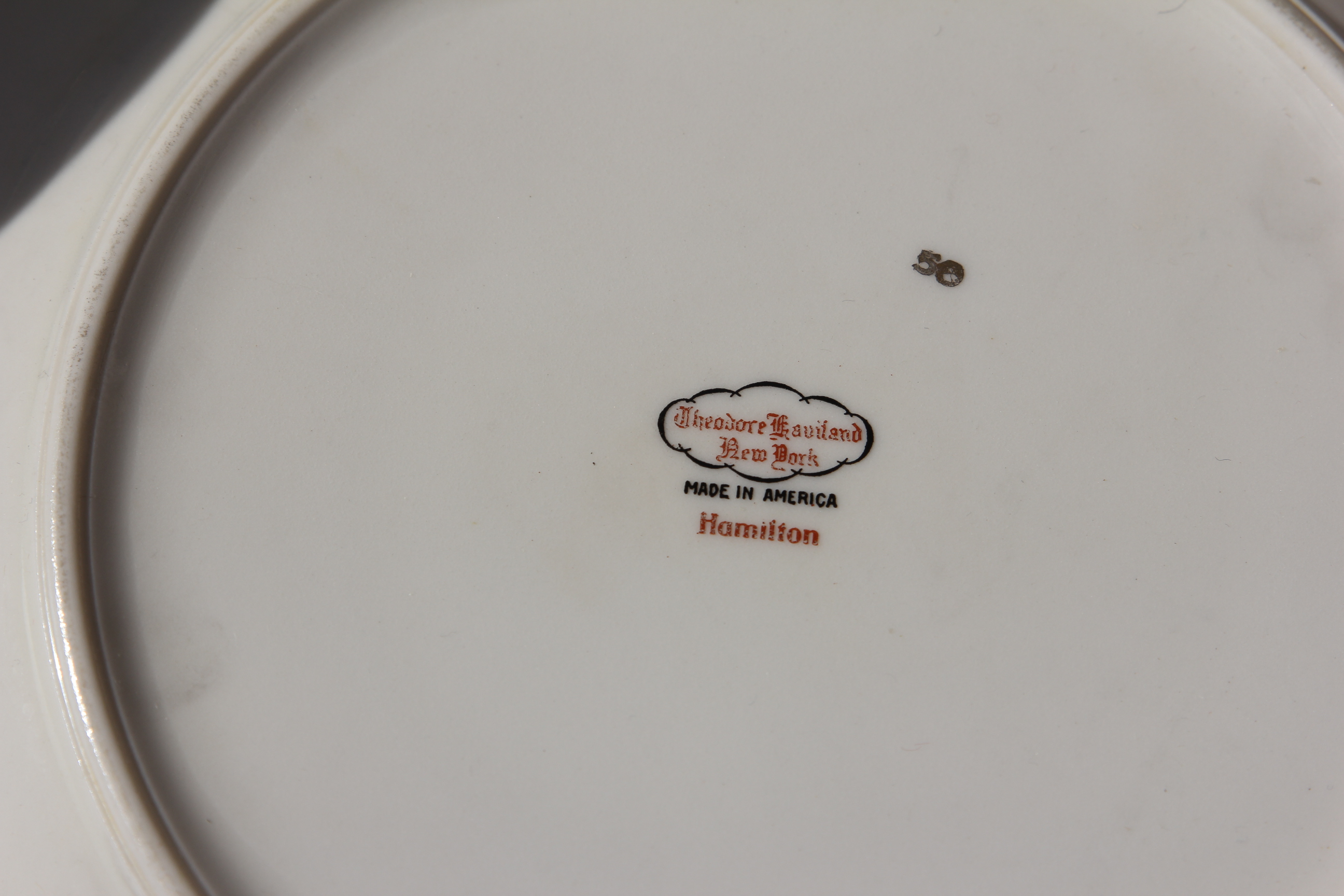 Theodore Haviland China Collection, Hamilton Pattern