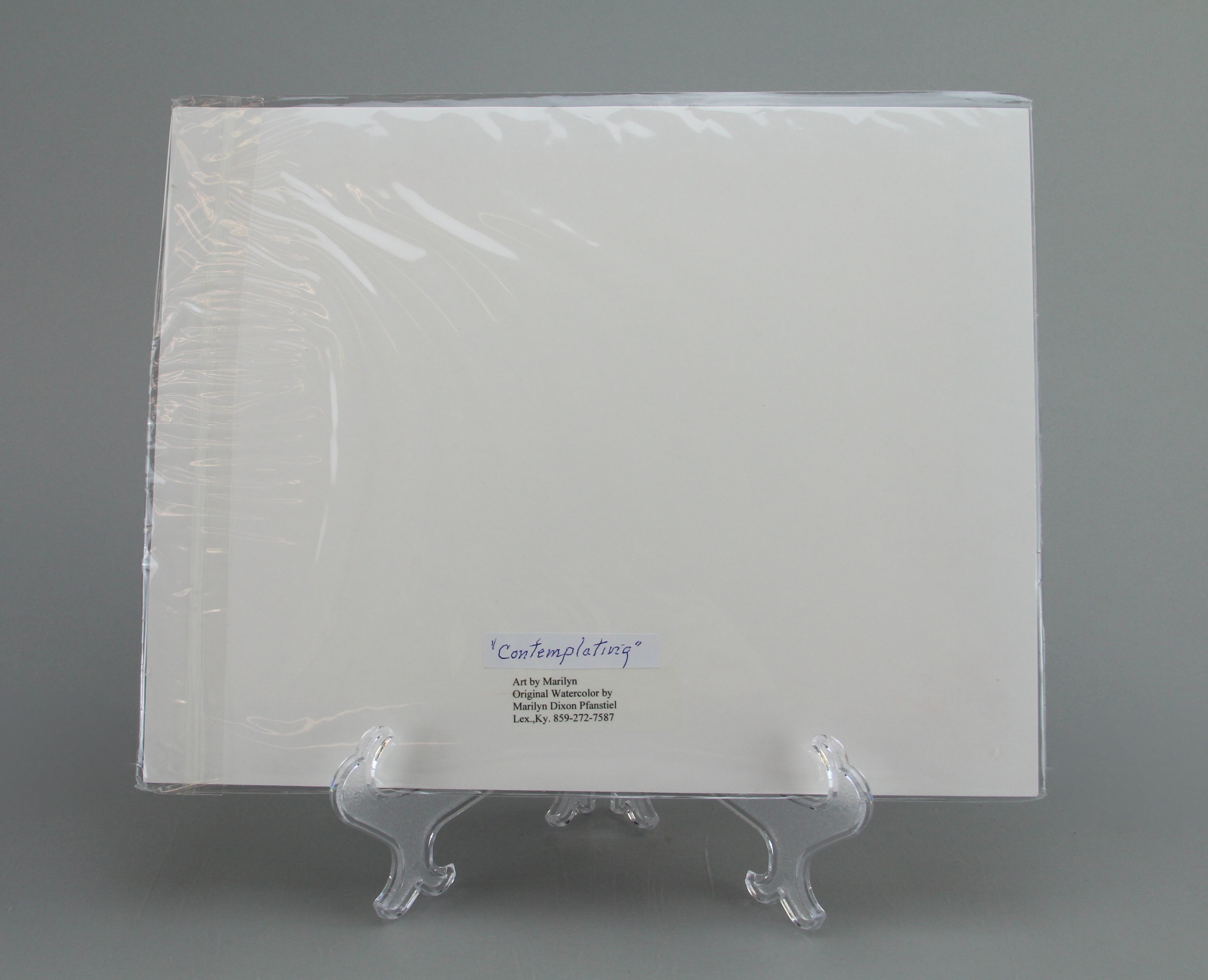 Group of Original Watercolors by Marilyn Pfanstiel