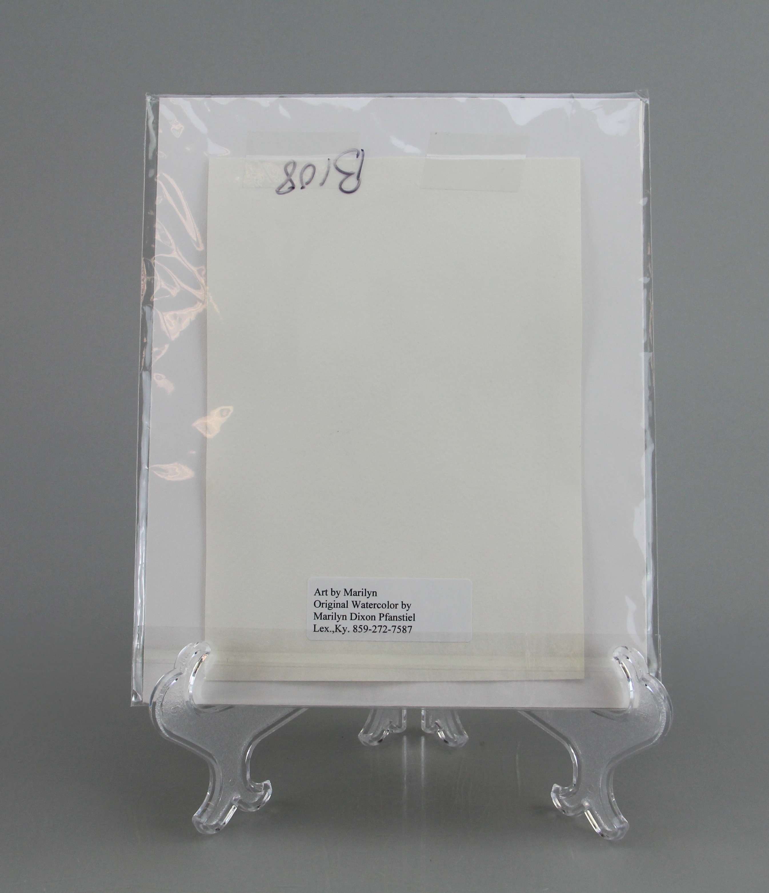 Group of Original Watercolors by Marilyn Pfanstiel