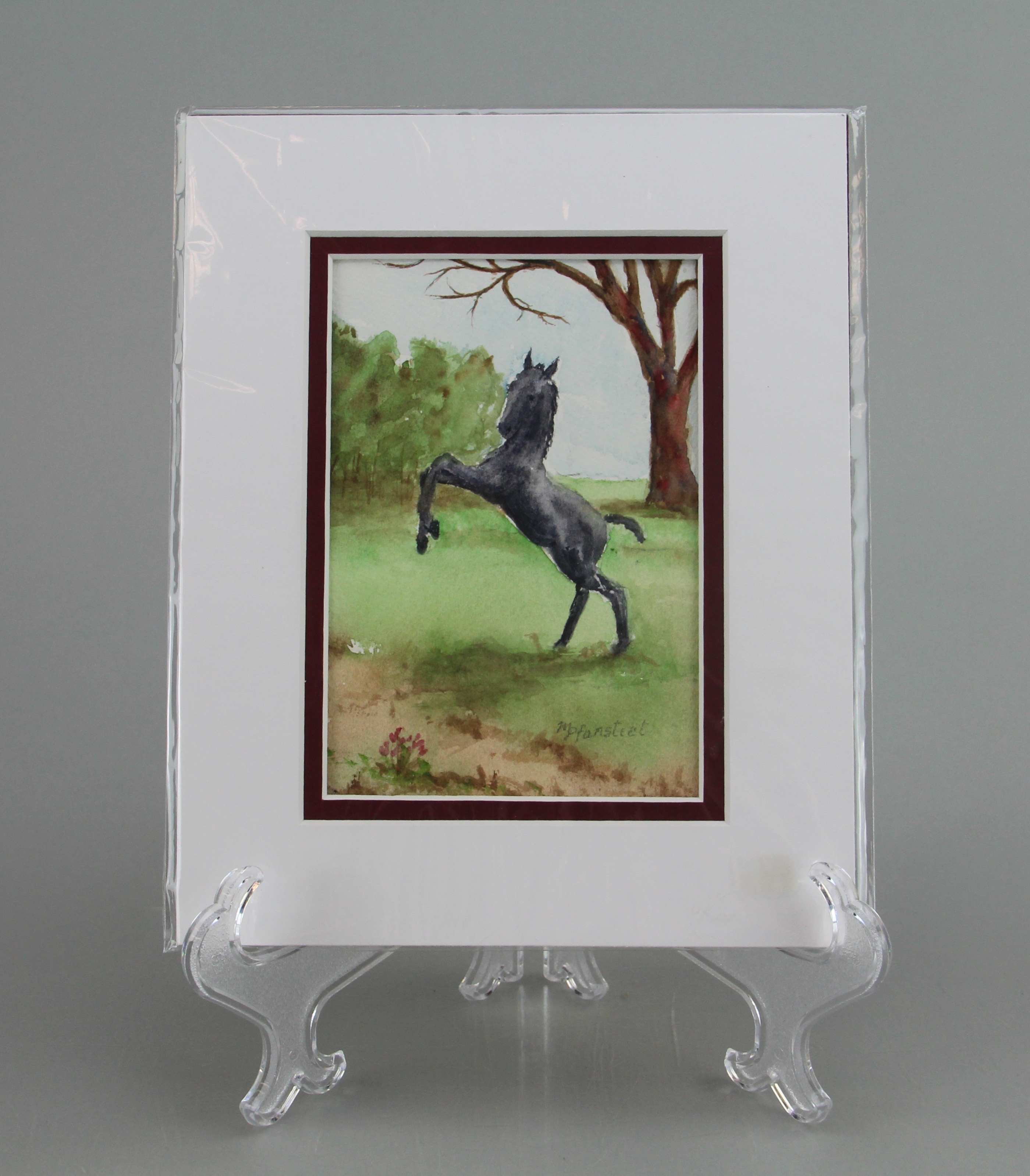 Group of Original Watercolors by Marilyn Pfanstiel