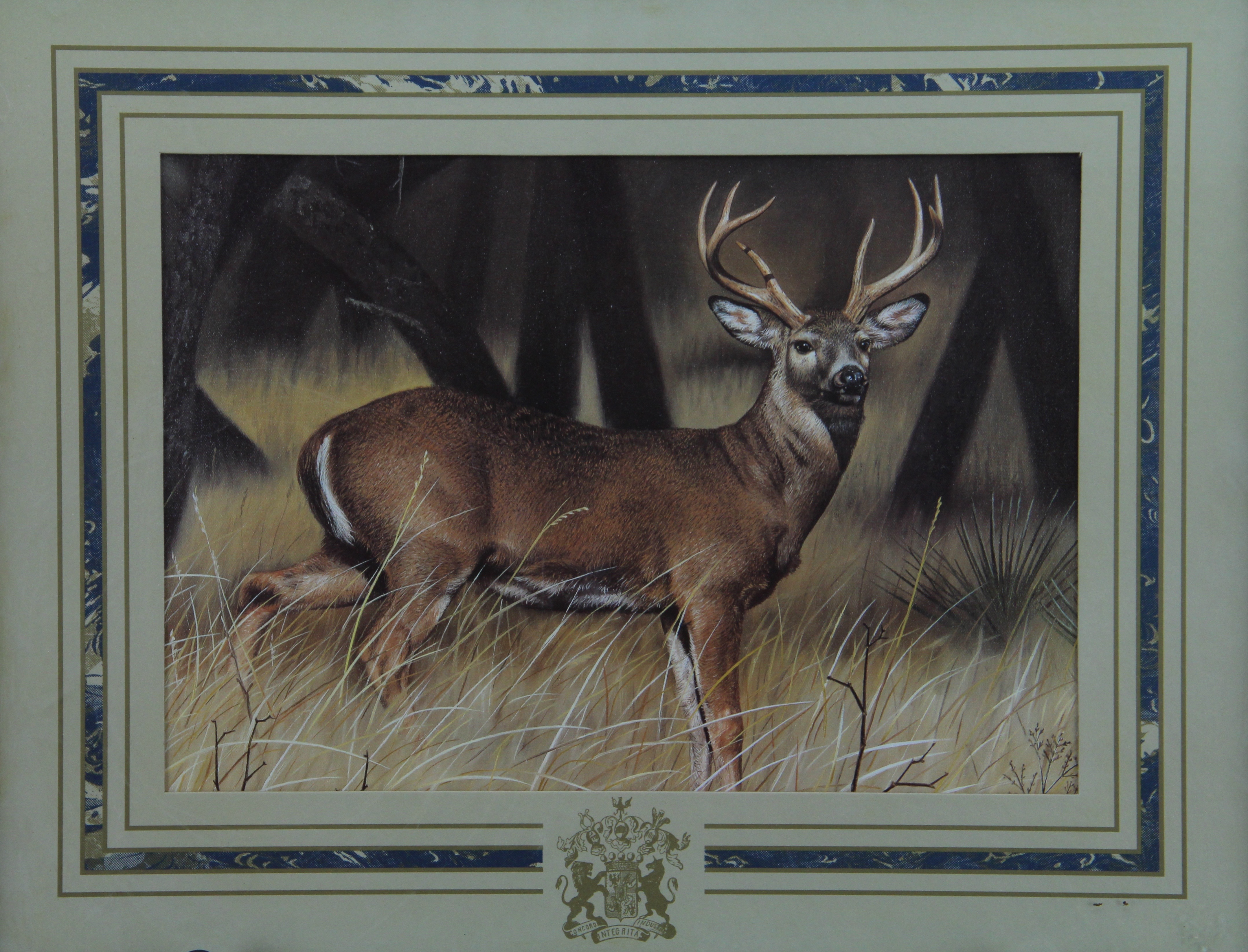 Pair of Framed Wildlife Offset Lithographs