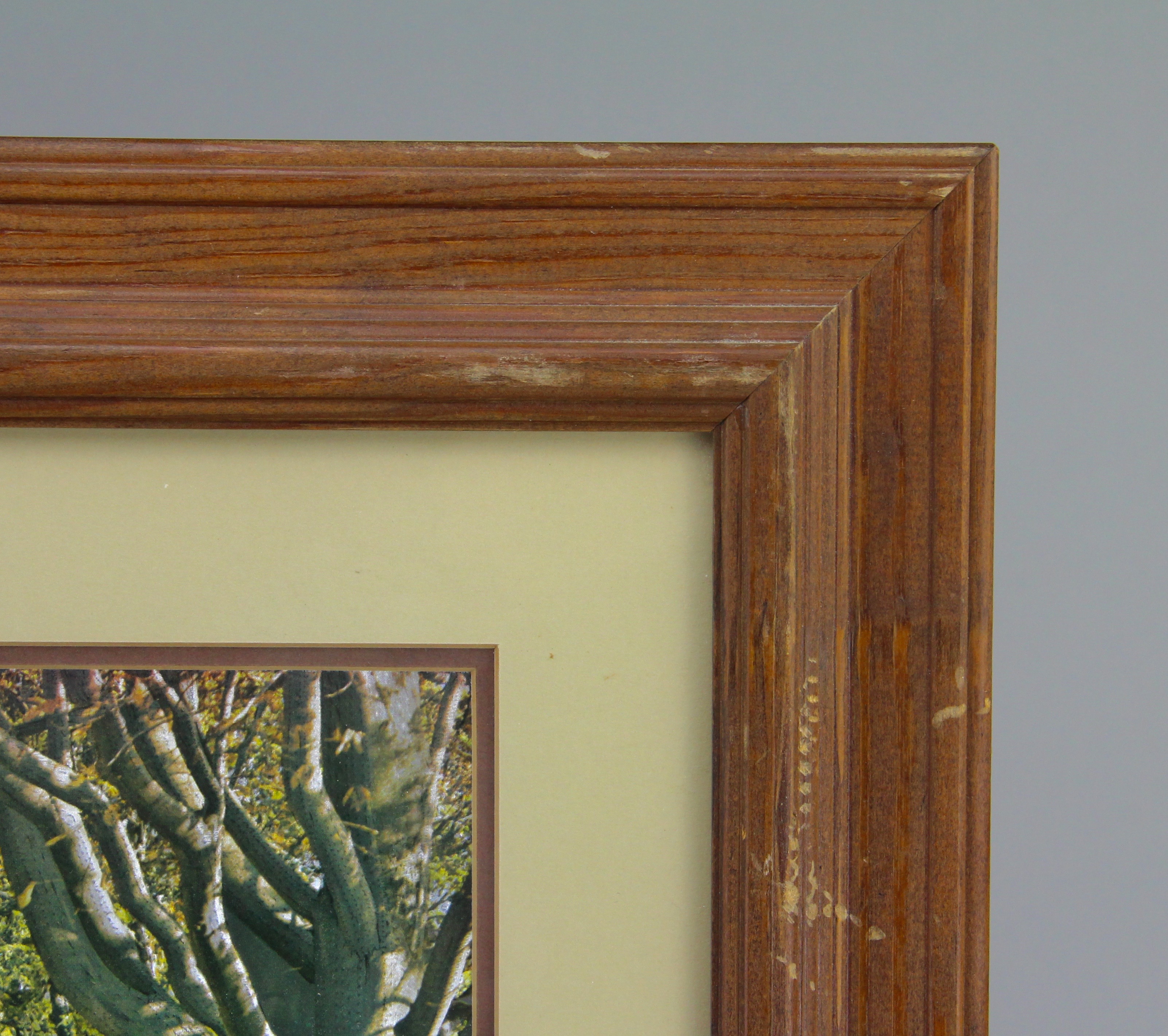 Wooden Framed English Imported Nature Scene Metal Etching