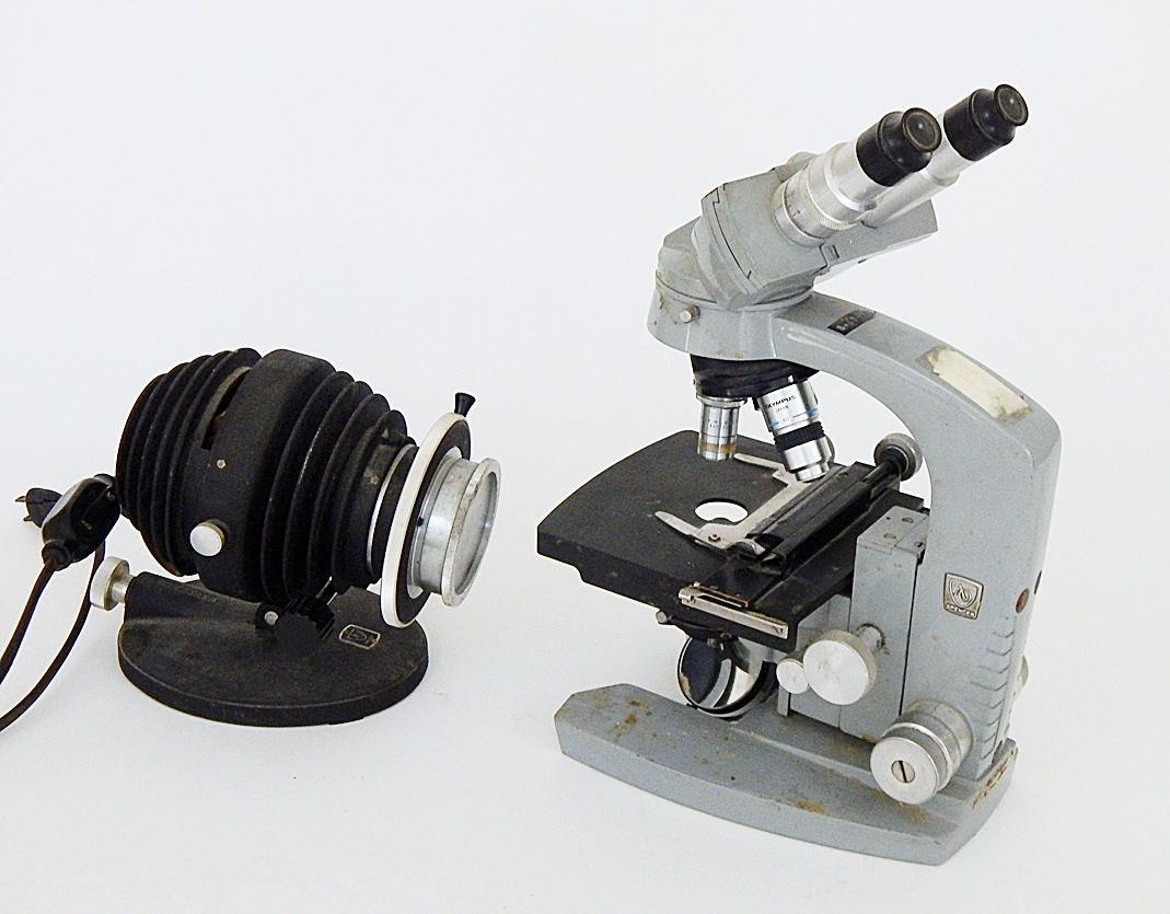 Vintage AO Spencer Trinocular Microscope with Light