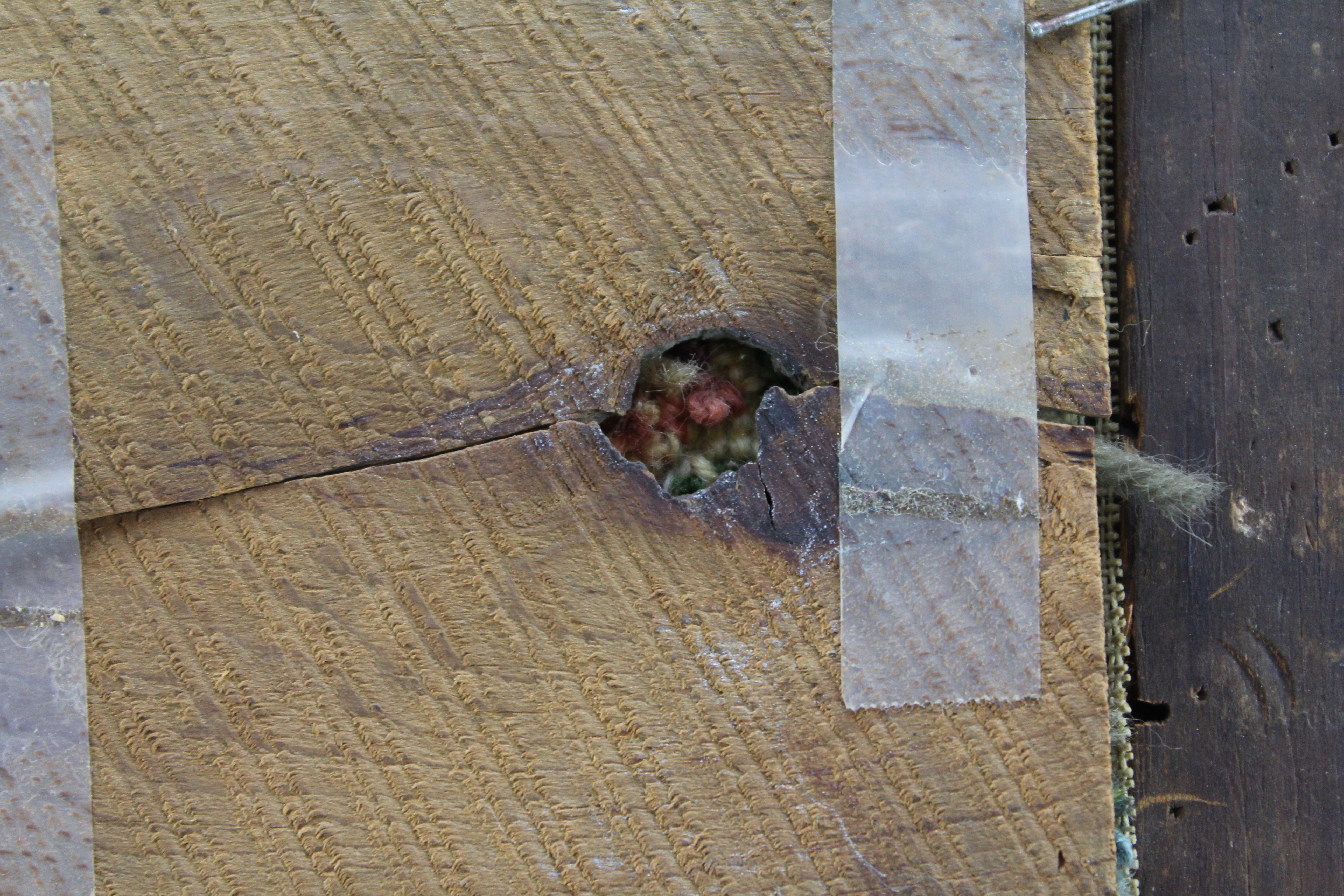 Assortment of Oval Wooden Framed Needle Point Art and Empty Frame