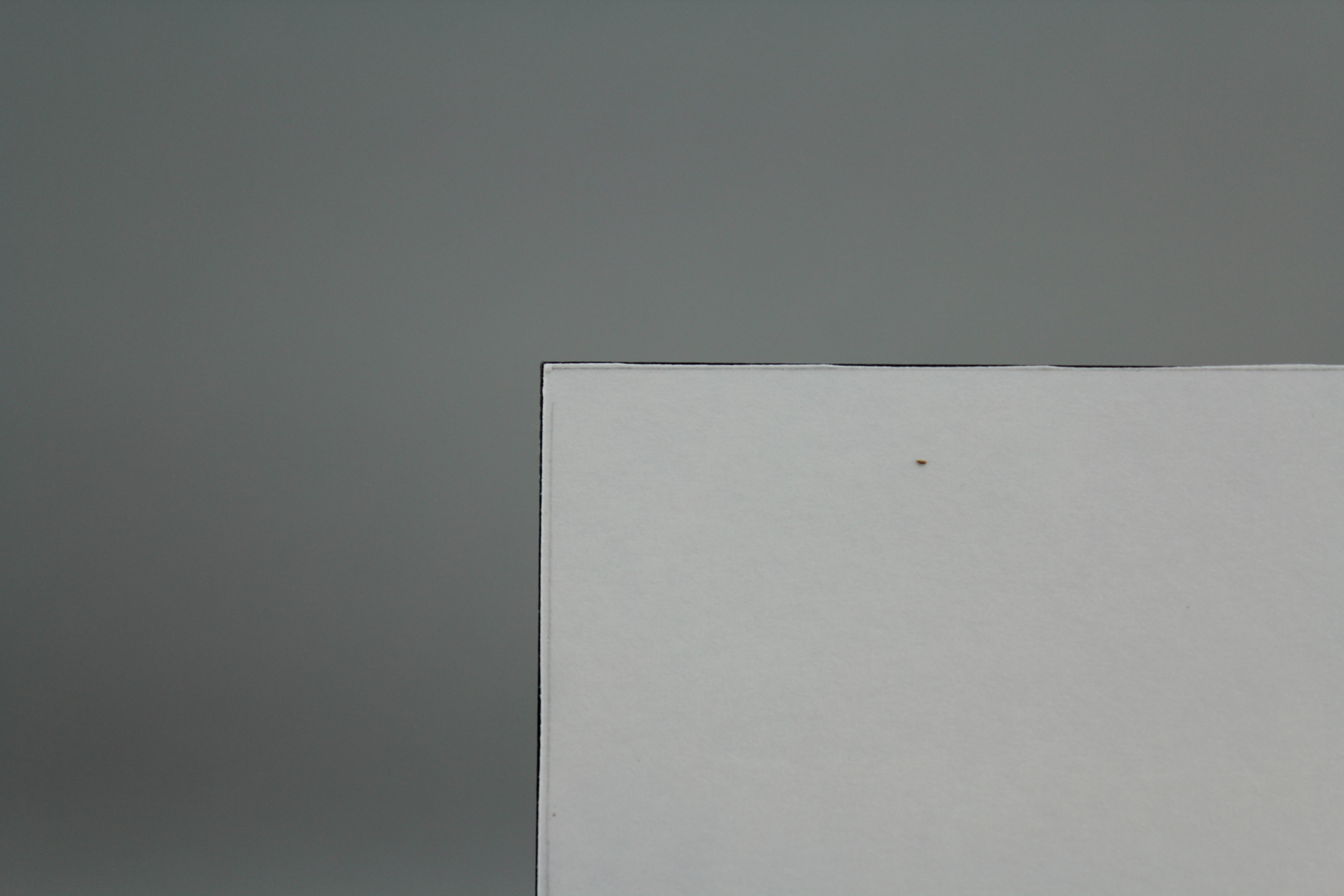 Group of Prints and Photographs by Marilyn Pfanstiel