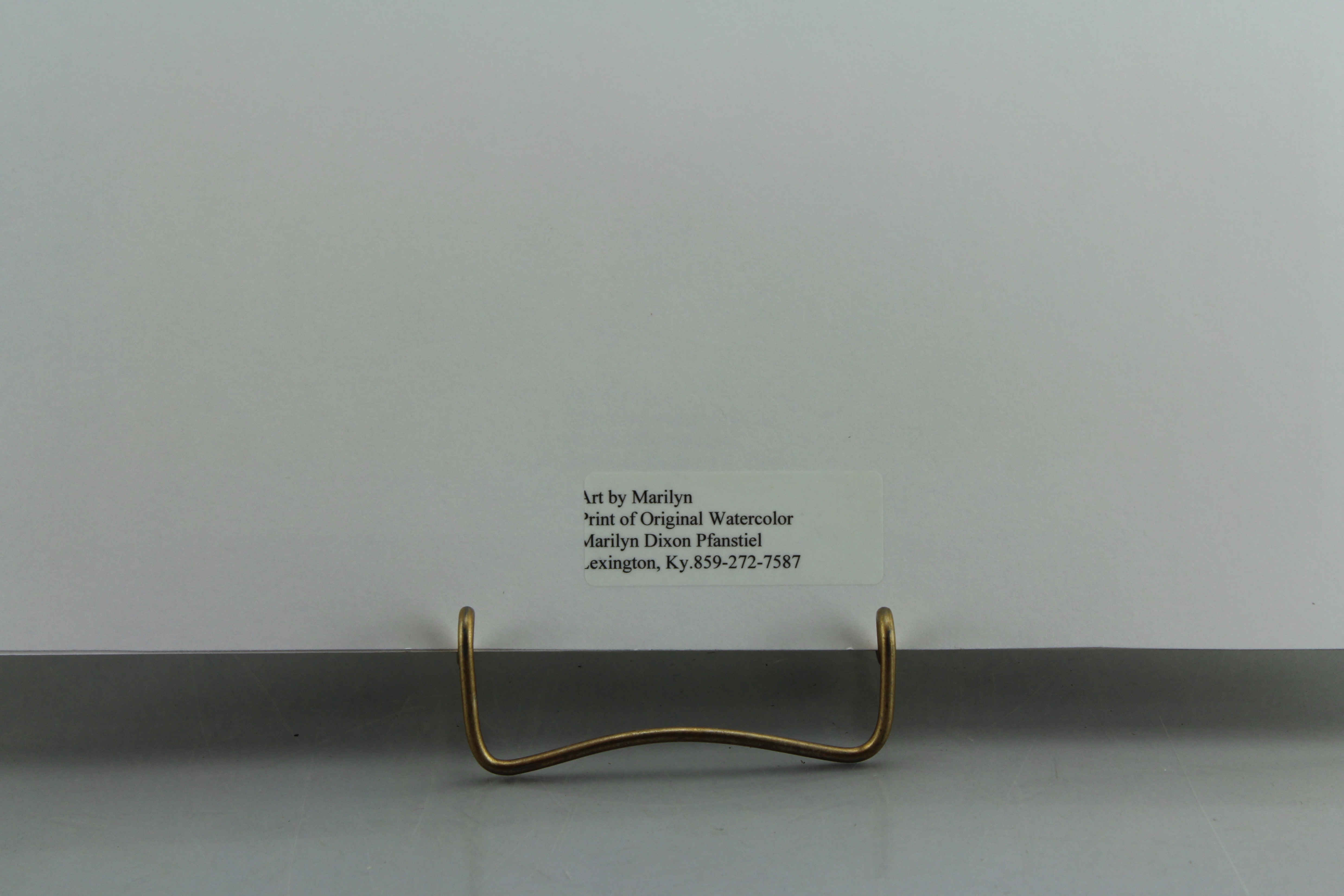 Group of Prints and Photographs by Marilyn Pfanstiel