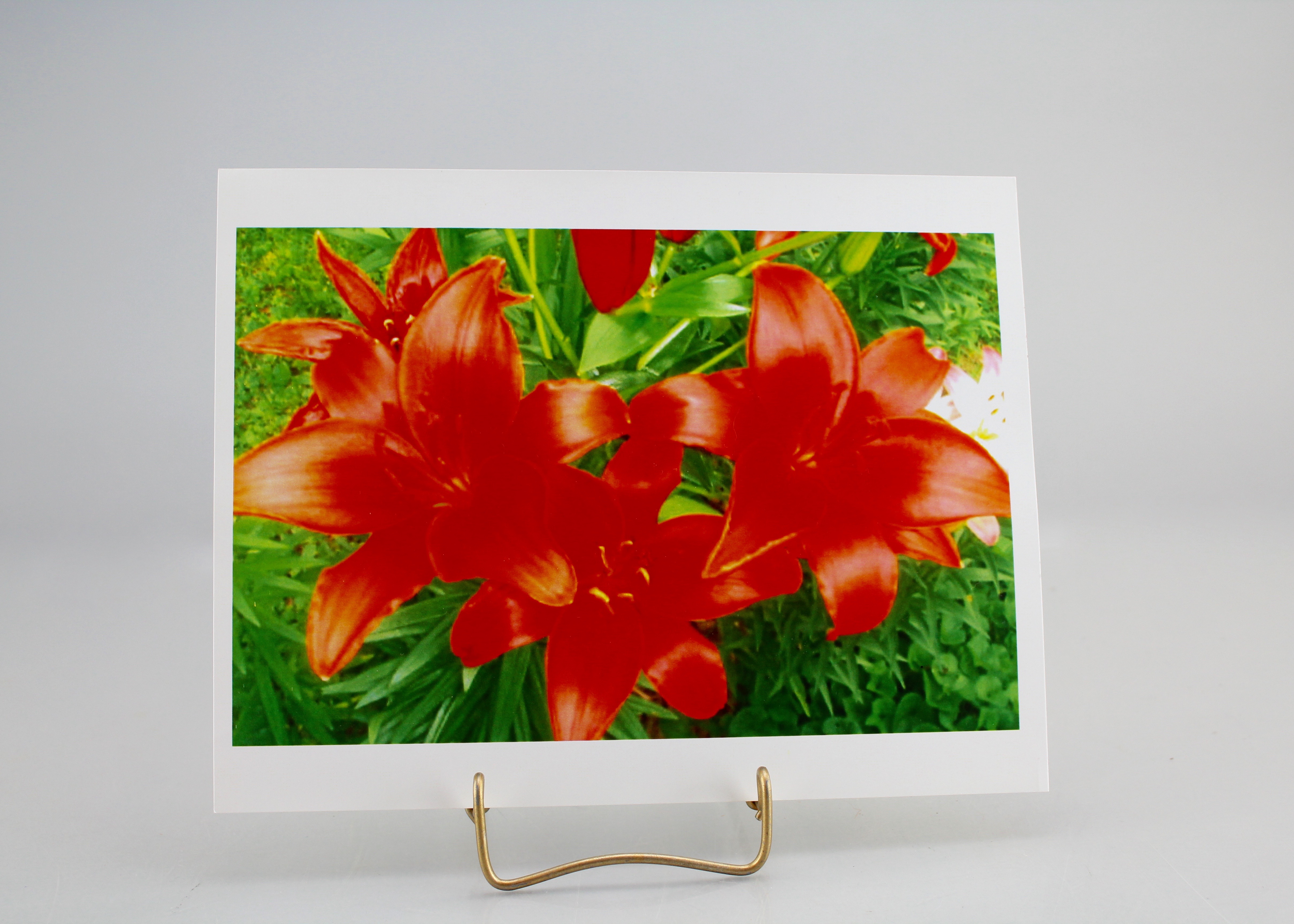 Group of Prints and Photographs by Marilyn Pfanstiel