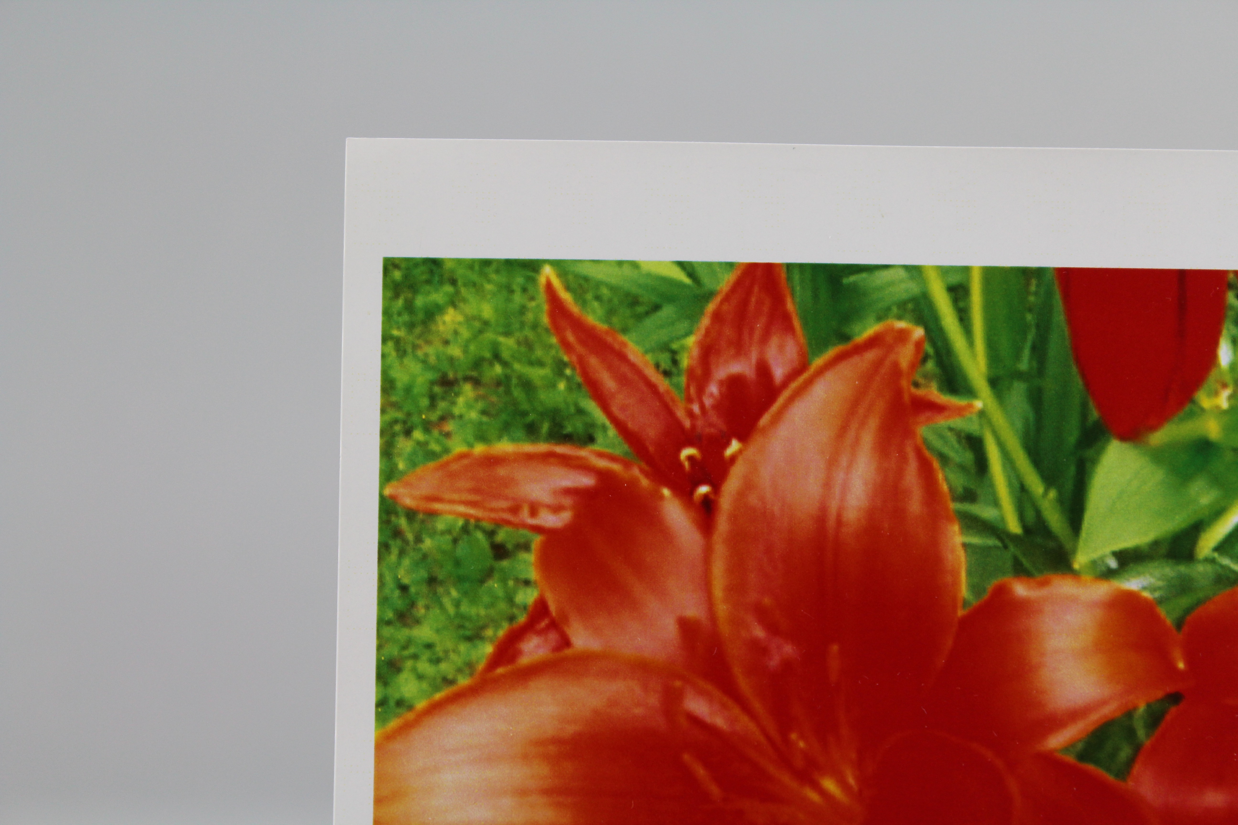 Group of Prints and Photographs by Marilyn Pfanstiel