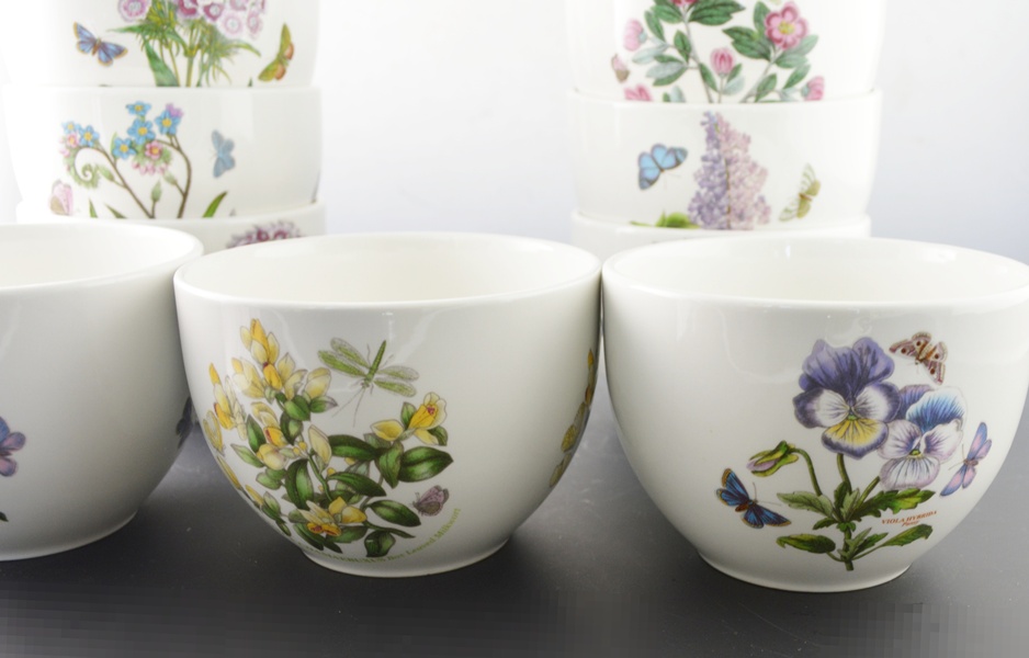 Portmeirion "Botanic Garden" Ceramic Chili Bowls Set of Nine