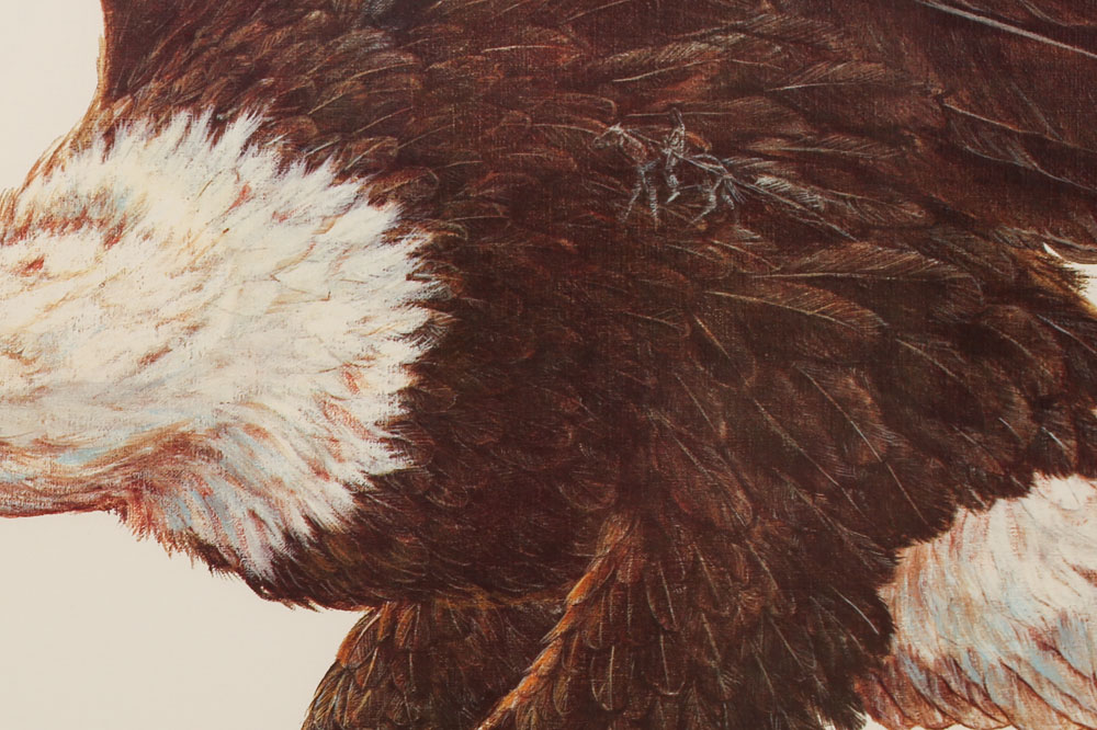 Signed and Numbered Enoch Kelly Haney Eagle and Hawk Prints
