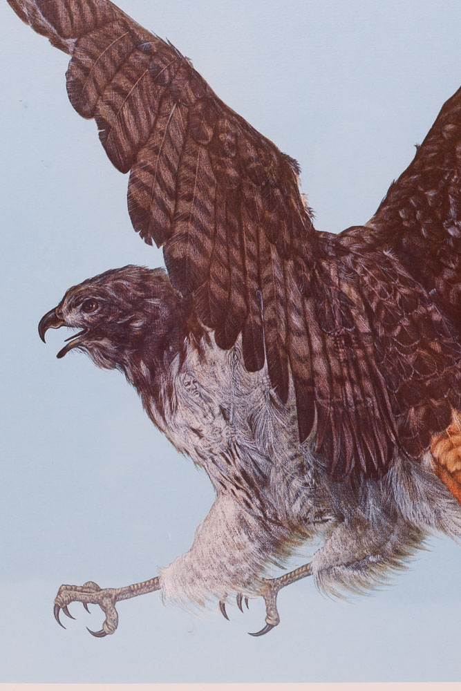 Signed and Numbered Enoch Kelly Haney Eagle and Hawk Prints