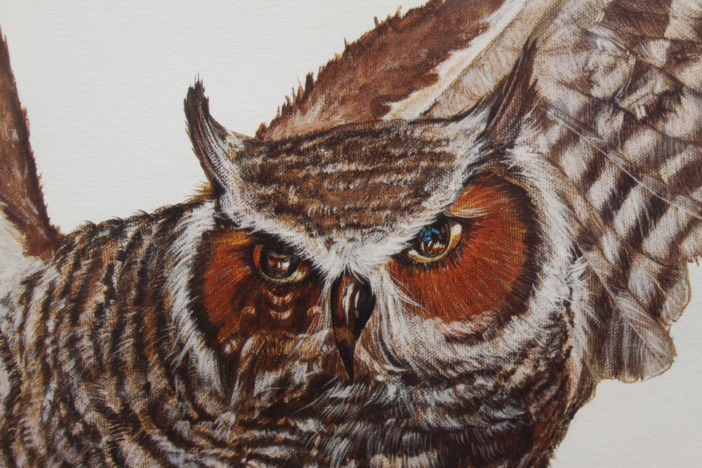 Enoch Kelly Haney Signed Print of an Owl