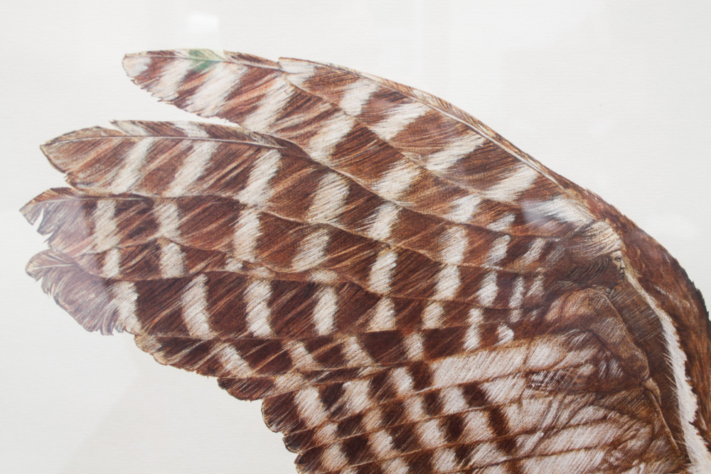 Enoch Kelly Haney Signed Print of an Owl