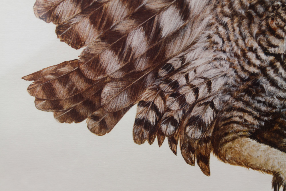 Enoch Kelly Haney Signed Print of an Owl