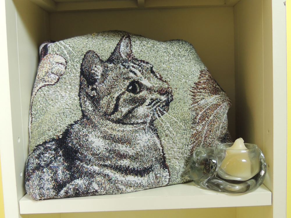 Unique Cat/Dog Collection