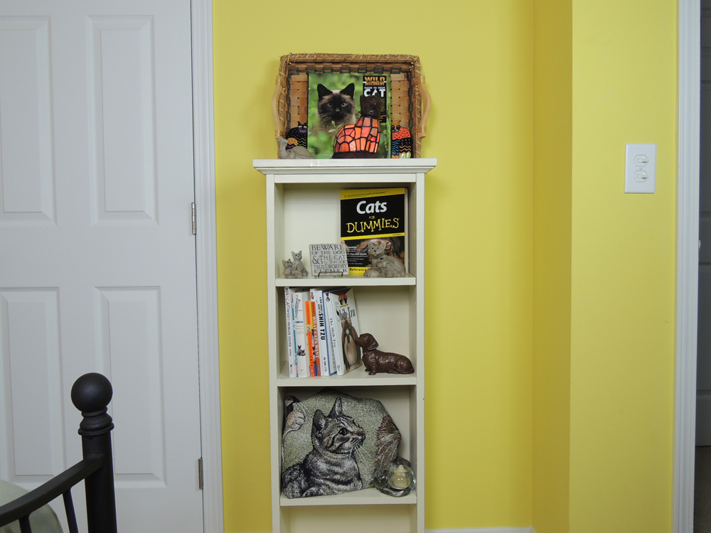 Unique Cat/Dog Collection