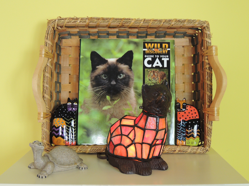 Unique Cat/Dog Collection