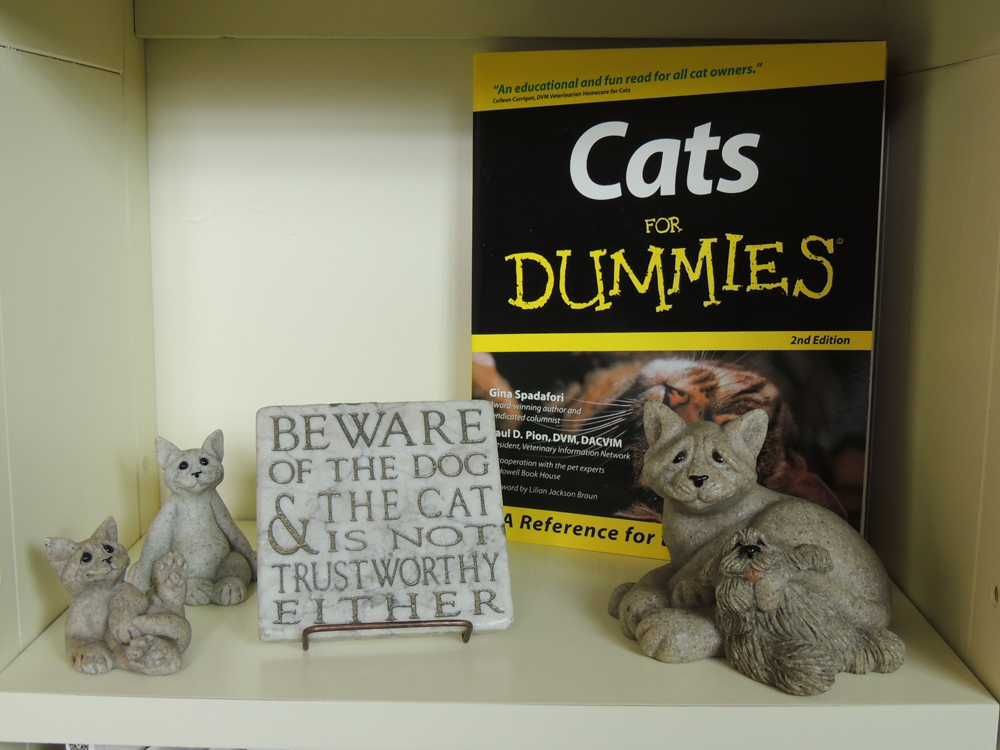 Unique Cat/Dog Collection