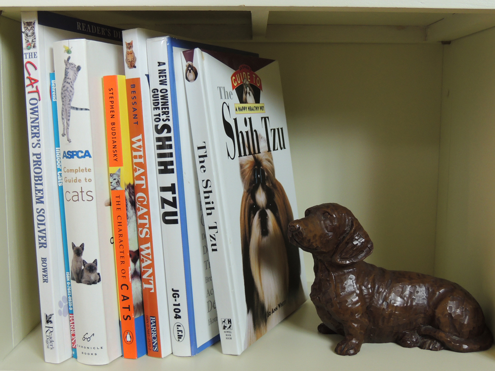 Unique Cat/Dog Collection