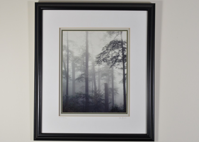 Sara Stegemoller Black and White Photograph- Hemlock Mist