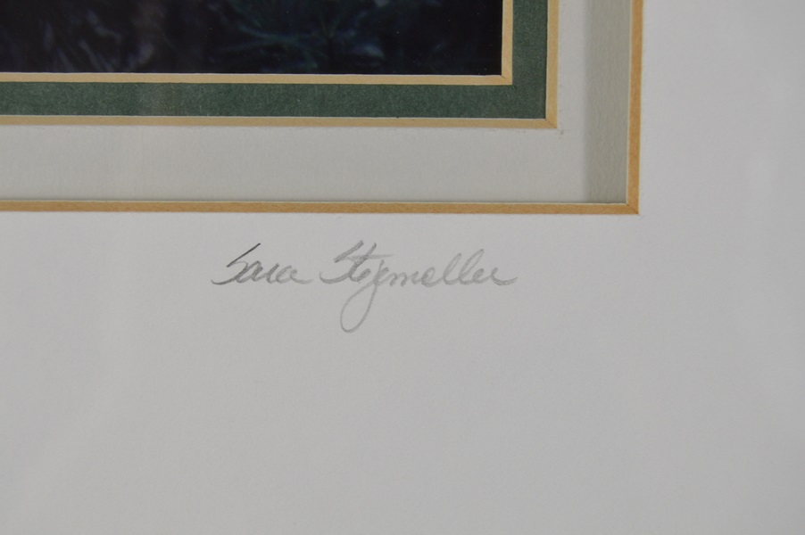 Sara Stegemoller Black and White Photograph- Hemlock Mist