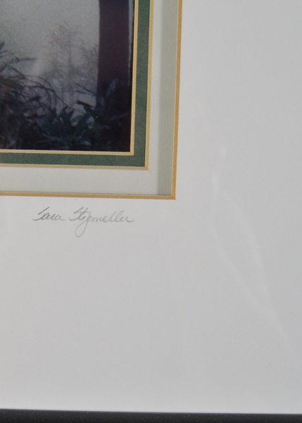 Sara Stegemoller Black and White Photograph- Hemlock Mist