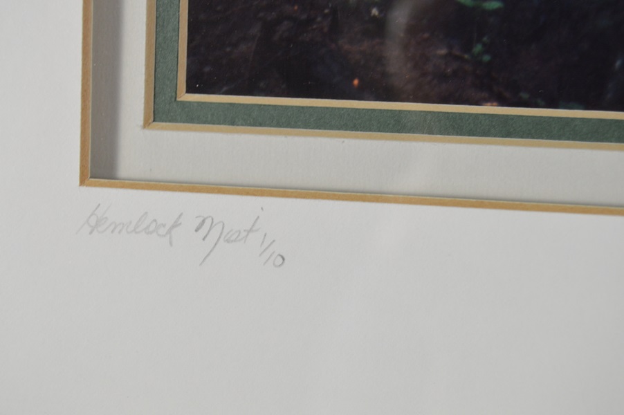 Sara Stegemoller Black and White Photograph- Hemlock Mist