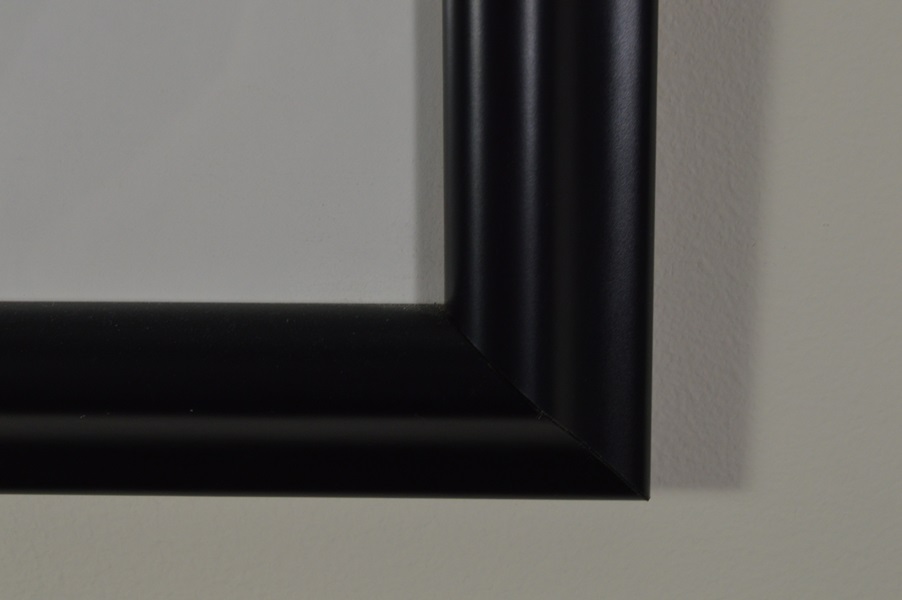 Sara Stegemoller Black and White Photograph- Hemlock Mist