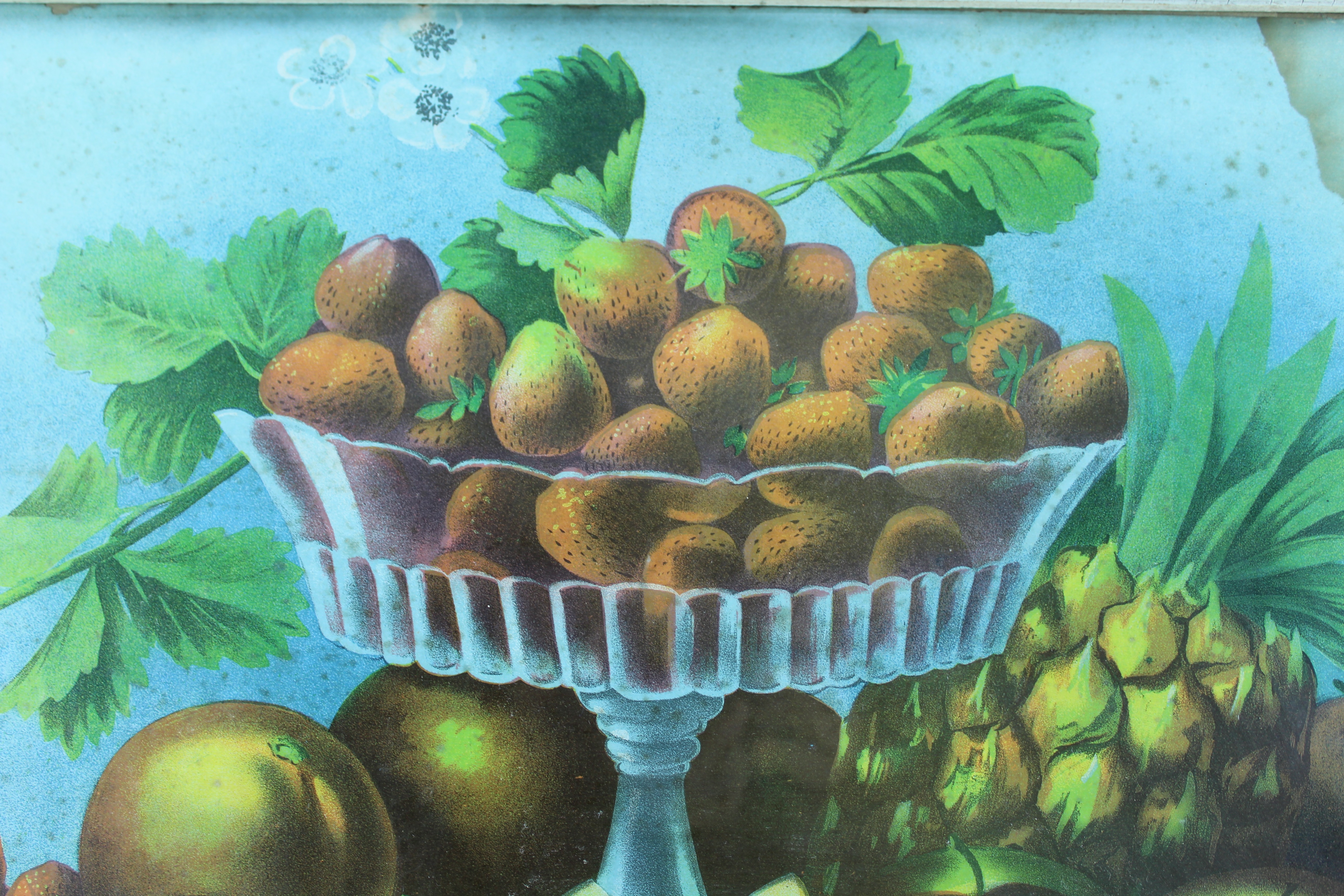 Vintage Framed Fruit Bowl Painting Under Glass with Wire Hanger