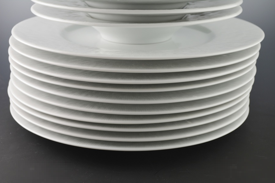 Apilco "Apicius" Porcelain Service Plates and Wide Rim Soup Bowls