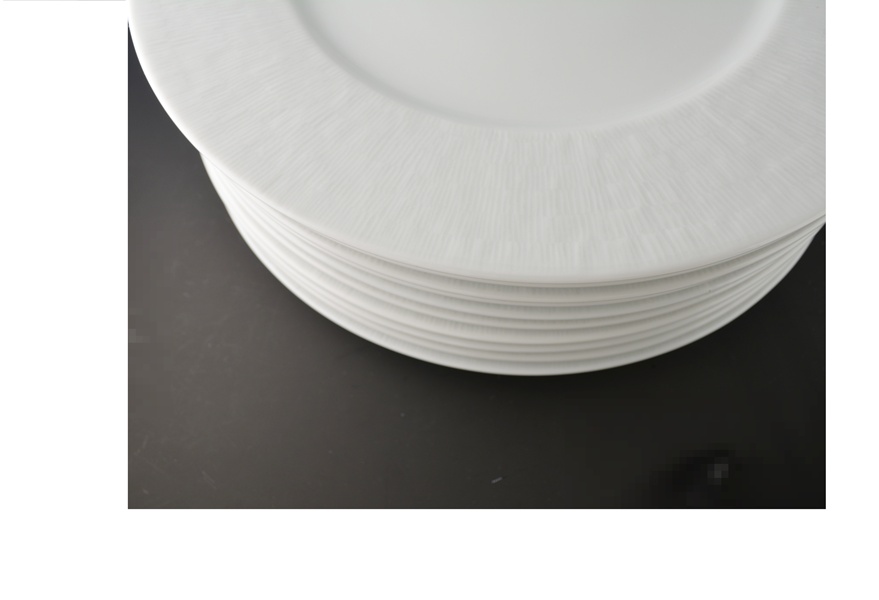 Apilco "Apicius" Porcelain Service Plates and Wide Rim Soup Bowls