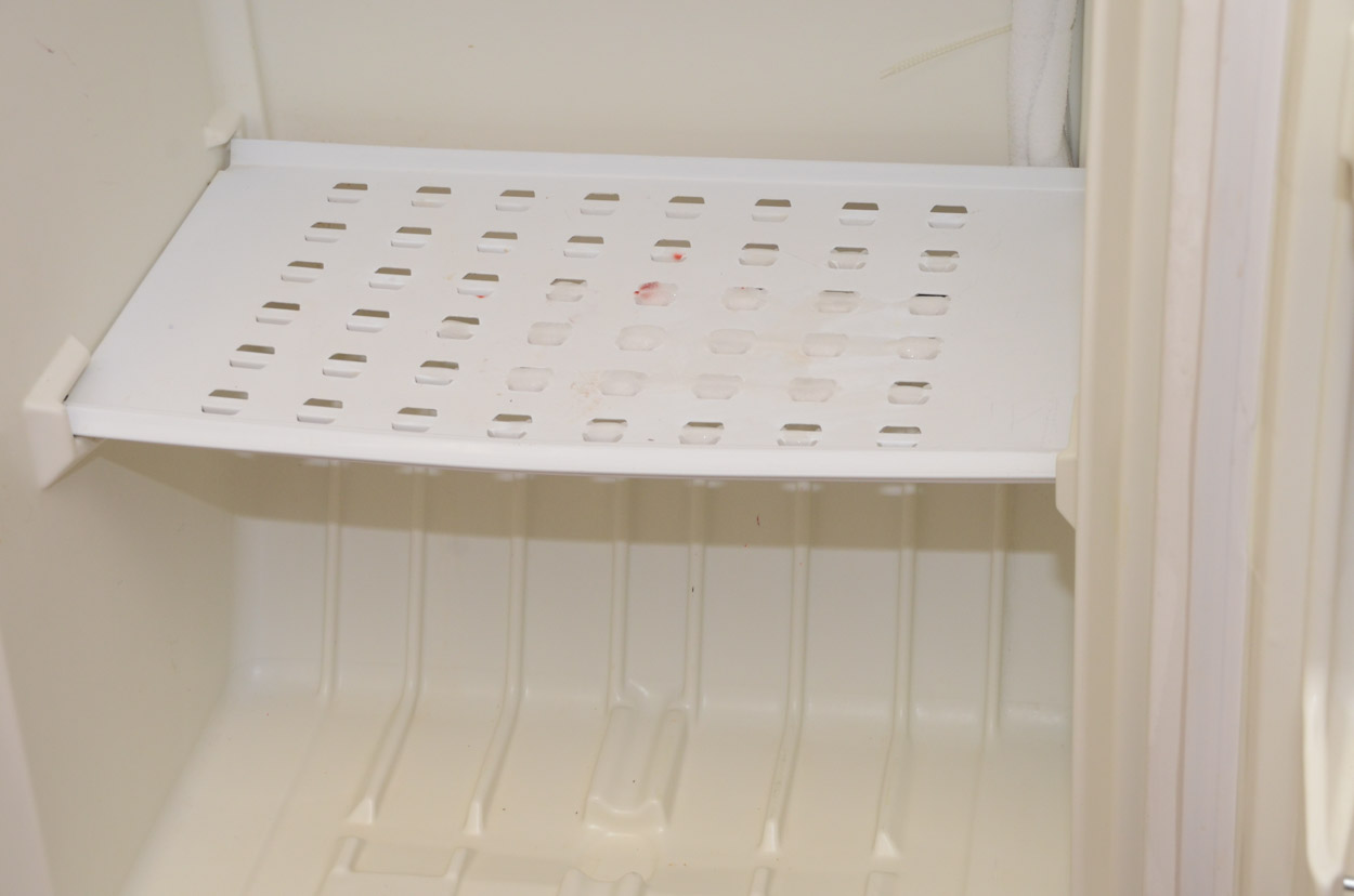 Montgomery Ward Signature Freezer