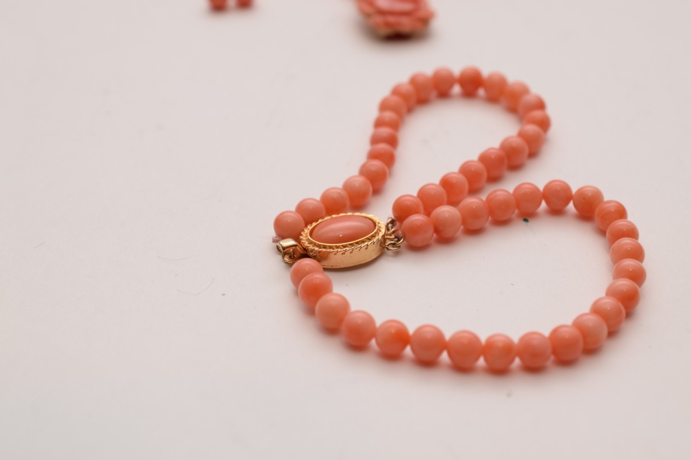 Faux Coral Jewelry Set